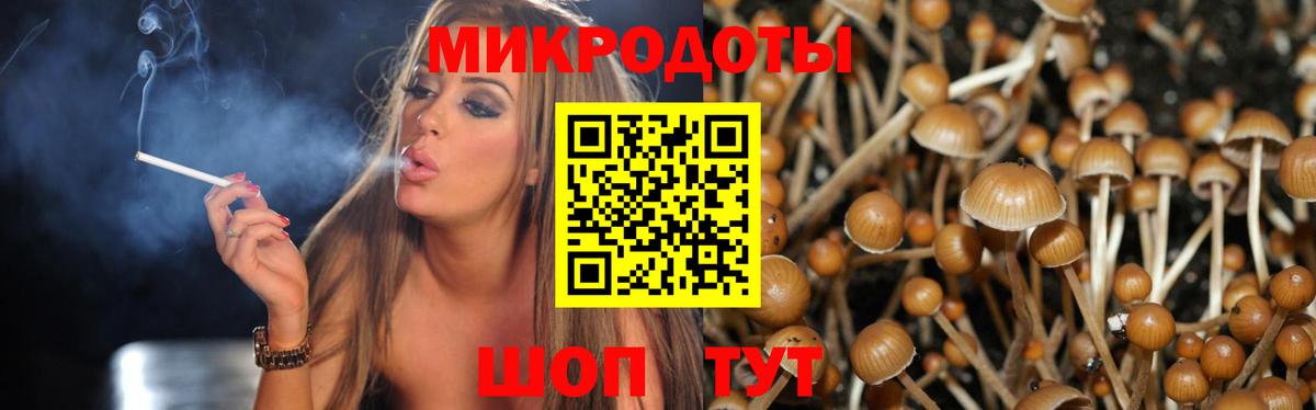 Псилоцибиновые грибы мицелий  Псилоцибиновые грибы мухоморы  Россия  продажа наркотиков  Вход с VPN 